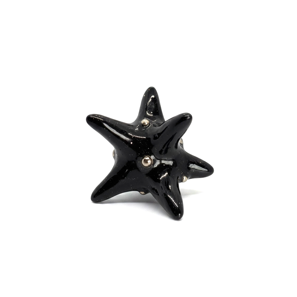 Starfish Black