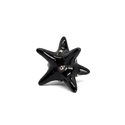 Starfish Black